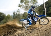 Yamaha WR250F